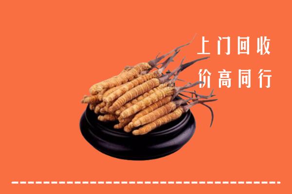 东莞东城街回收冬虫夏草